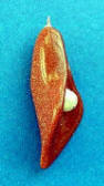 goldstone calla lily pendant with freshwater pearl center