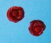 sterling silver carved red sea coral rose earrings