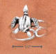 sterling silver turtle toering